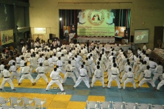 image13