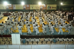 image15