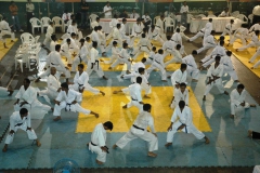 image8